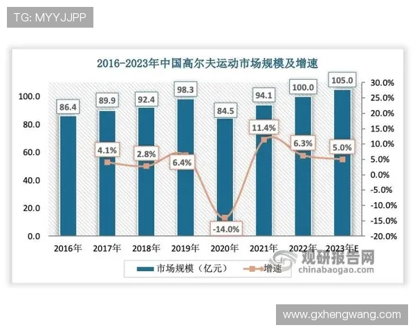 上海羽毛球队比赛经验分析及其对竞技表现的影响研究