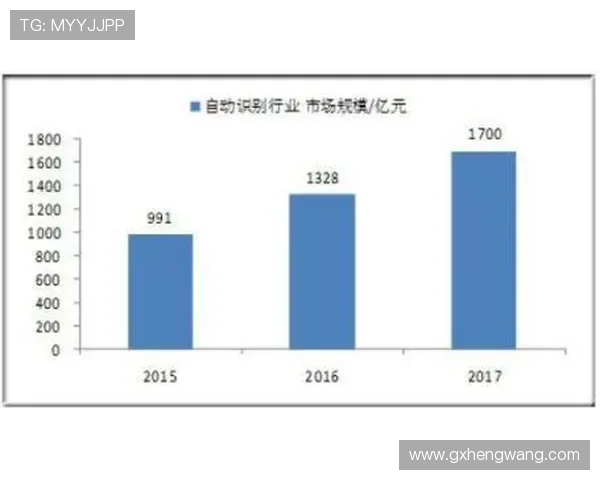 北京网球队的运营模式与发展策略深度分析与探讨 北京网球队的运营模式与发展策略深度分析与探讨