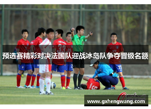 预选赛精彩对决法国队迎战冰岛队争夺晋级名额